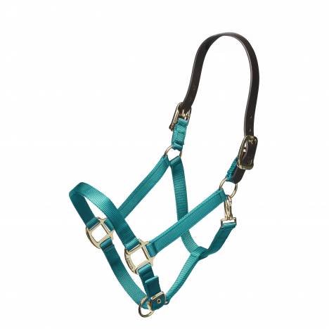 Shires ARMA Nylon Halter with Leather Head Strap