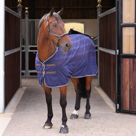 Shires Tempest Original Scrim Cooler