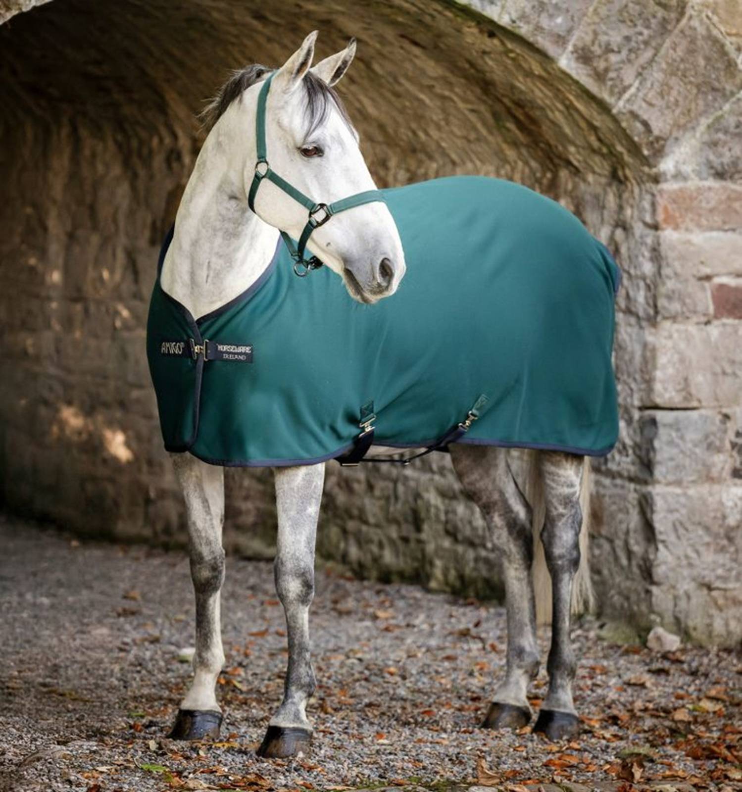 Amigo Jersey Cooler Sheet