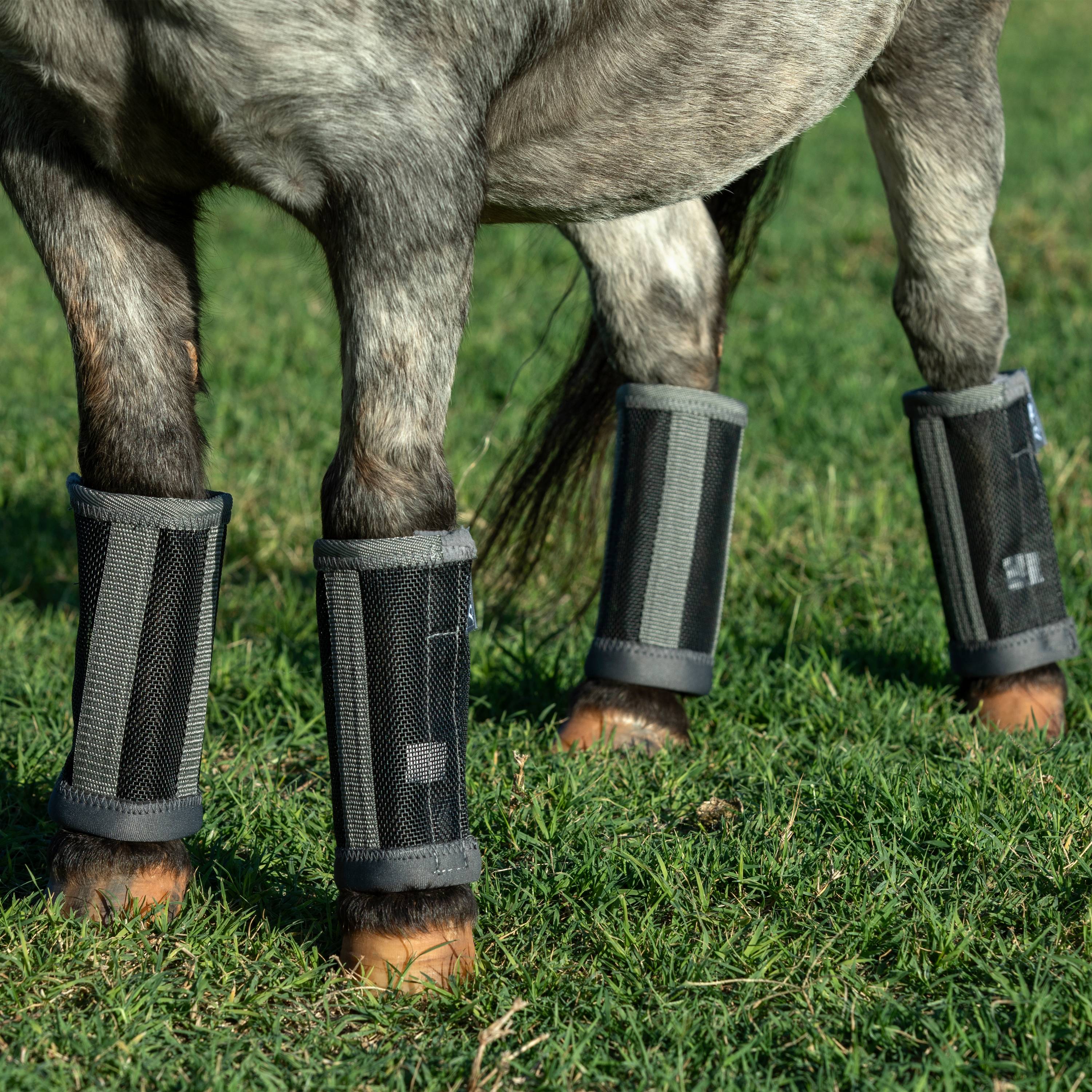 Professionals Choice Deluxe Fly Boots - 4 Pack