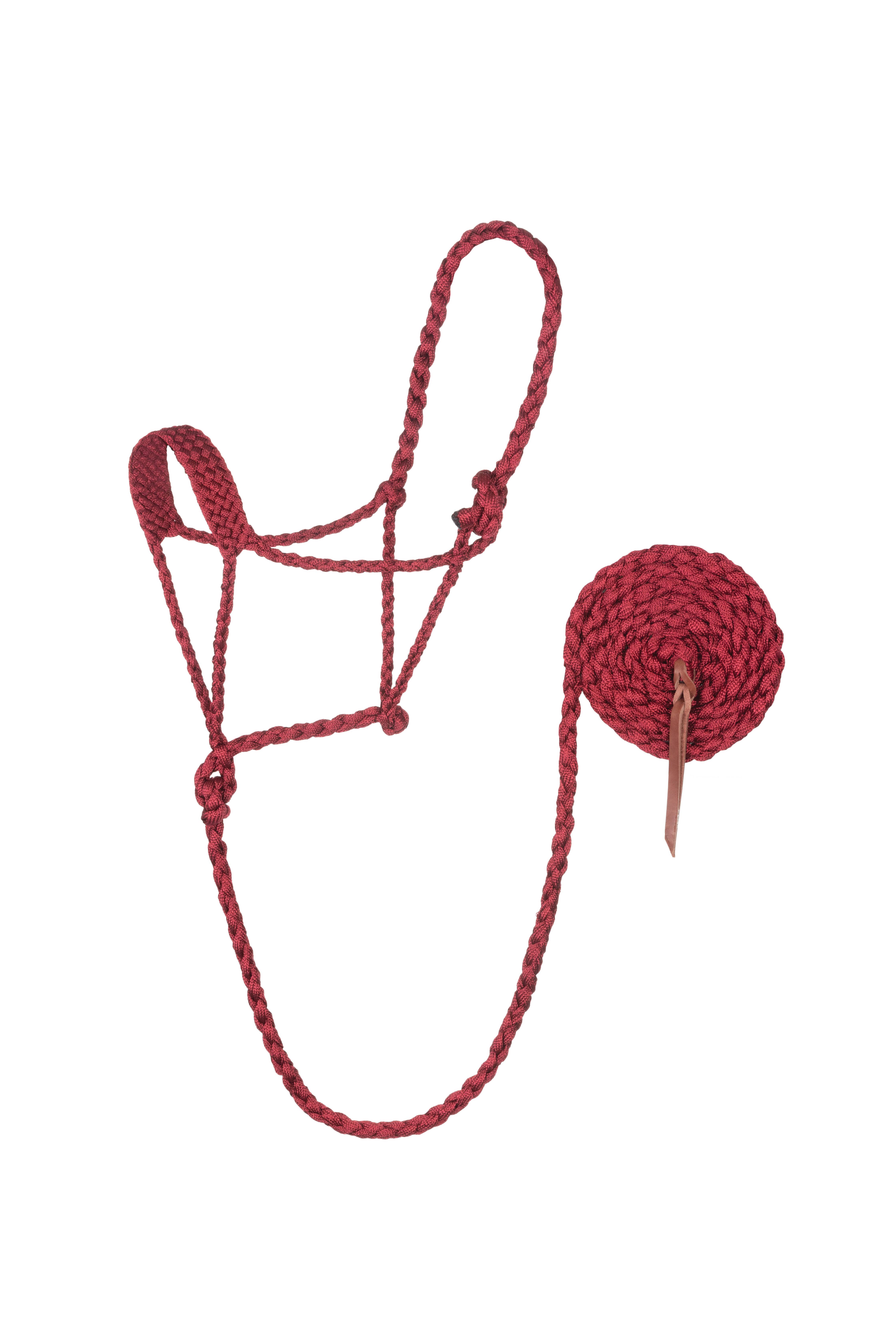 Weaver Braided Rope Halter with 10' Lead