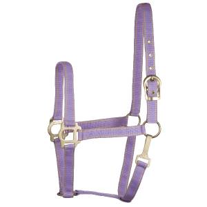 MEMORIAL DAY BOGO: Gatsby Classic 2-Tone Nylon Halter with Snap - YOUR PRICE FOR 2