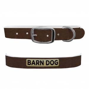 C4 Dog Collar Barn Dog Collar