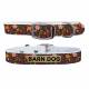 C4 Dog Collar Barn Dog Floral Collar