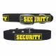 C4 Dog Collar Security Collar