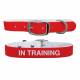 C4 Dog Collar In Training Collar