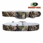 C4 Dog Collar Mossy Oak - Break Up Country Collar
