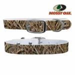 C4 Dog Collar Mossy Oak - Shadow Grass Blades Brand Collar