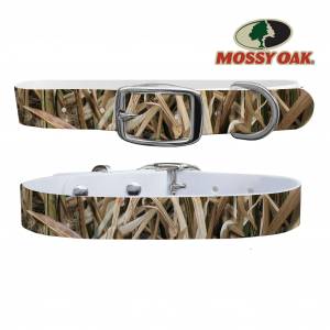 C4 Dog Collar Mossy Oak - Shadow Grass Blades Collar