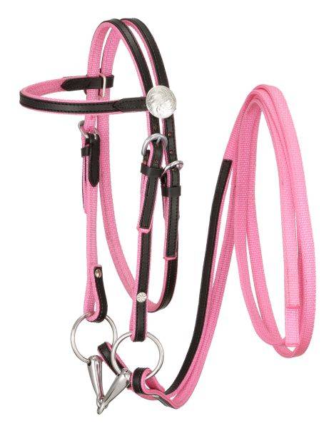 King Series Nylon Browband Bridle with Leather Overlay
