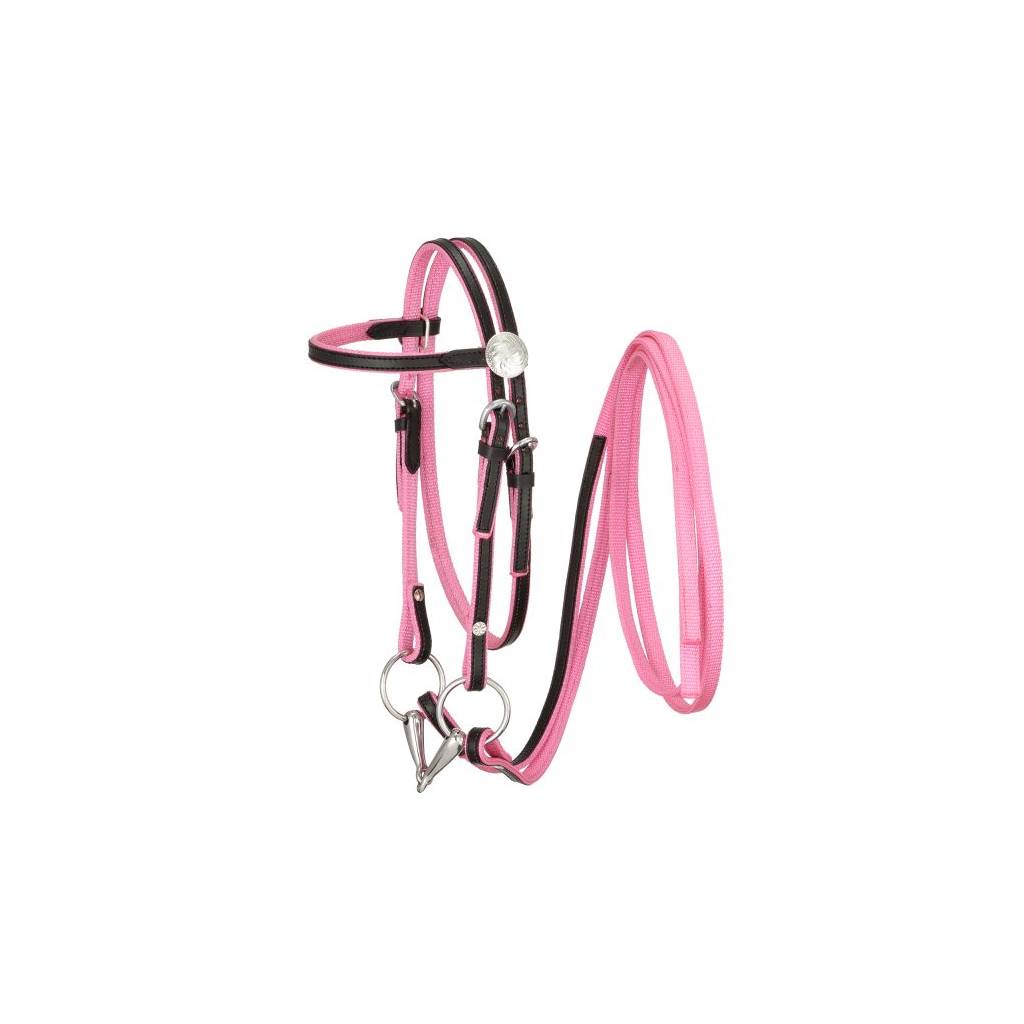 King Series Miniature Nylon With Leather Bridle