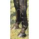Abetta Splint Boots W/ Aire-Grip
