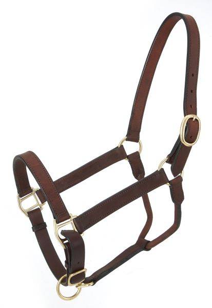 Royal King Leather Stable Halter