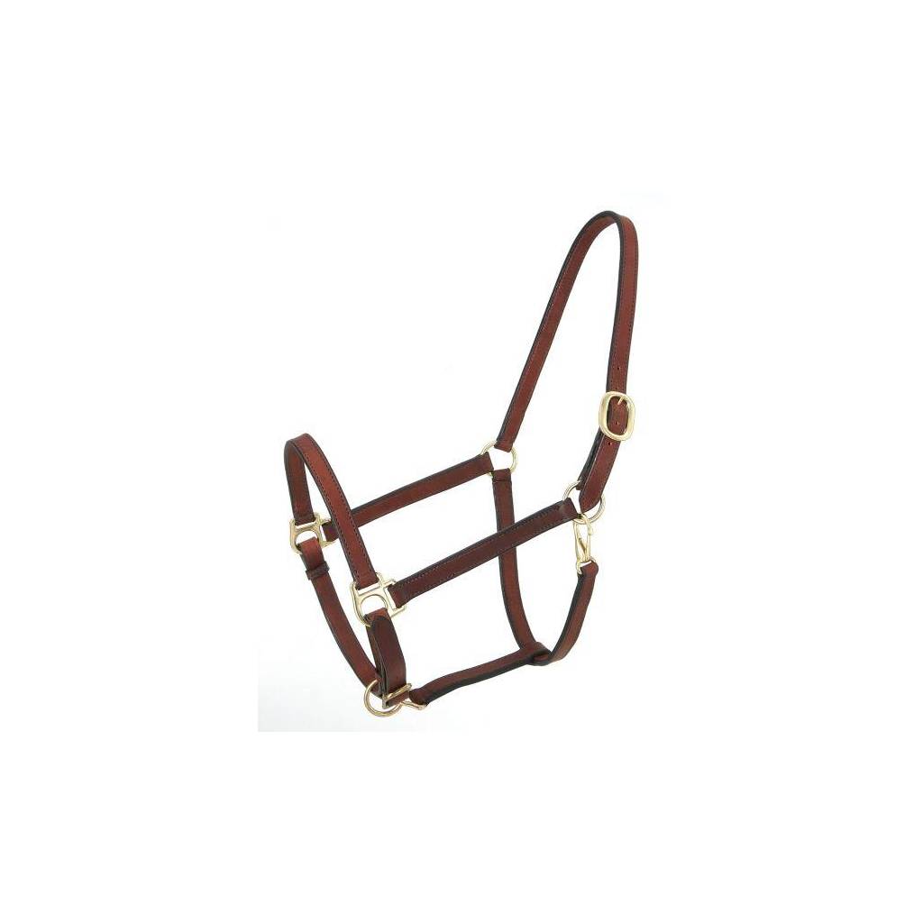 Royal King Narrow Leather Track Halter