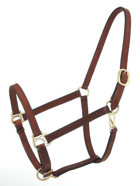 Royal King Narrow Leather Track Halter