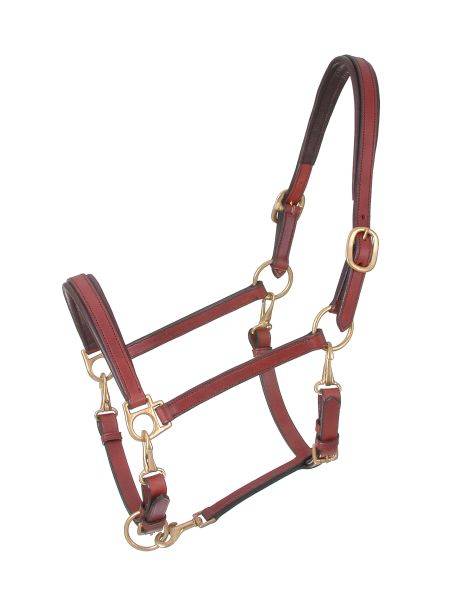 Royal King 4-Way Stable/Grooming Halter
