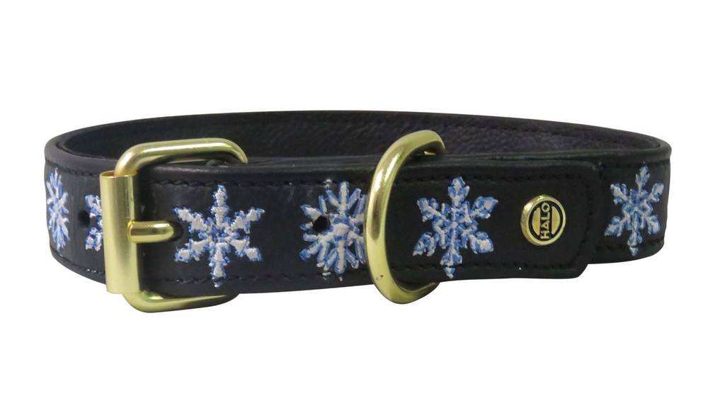 halo dog collar halo dog collar