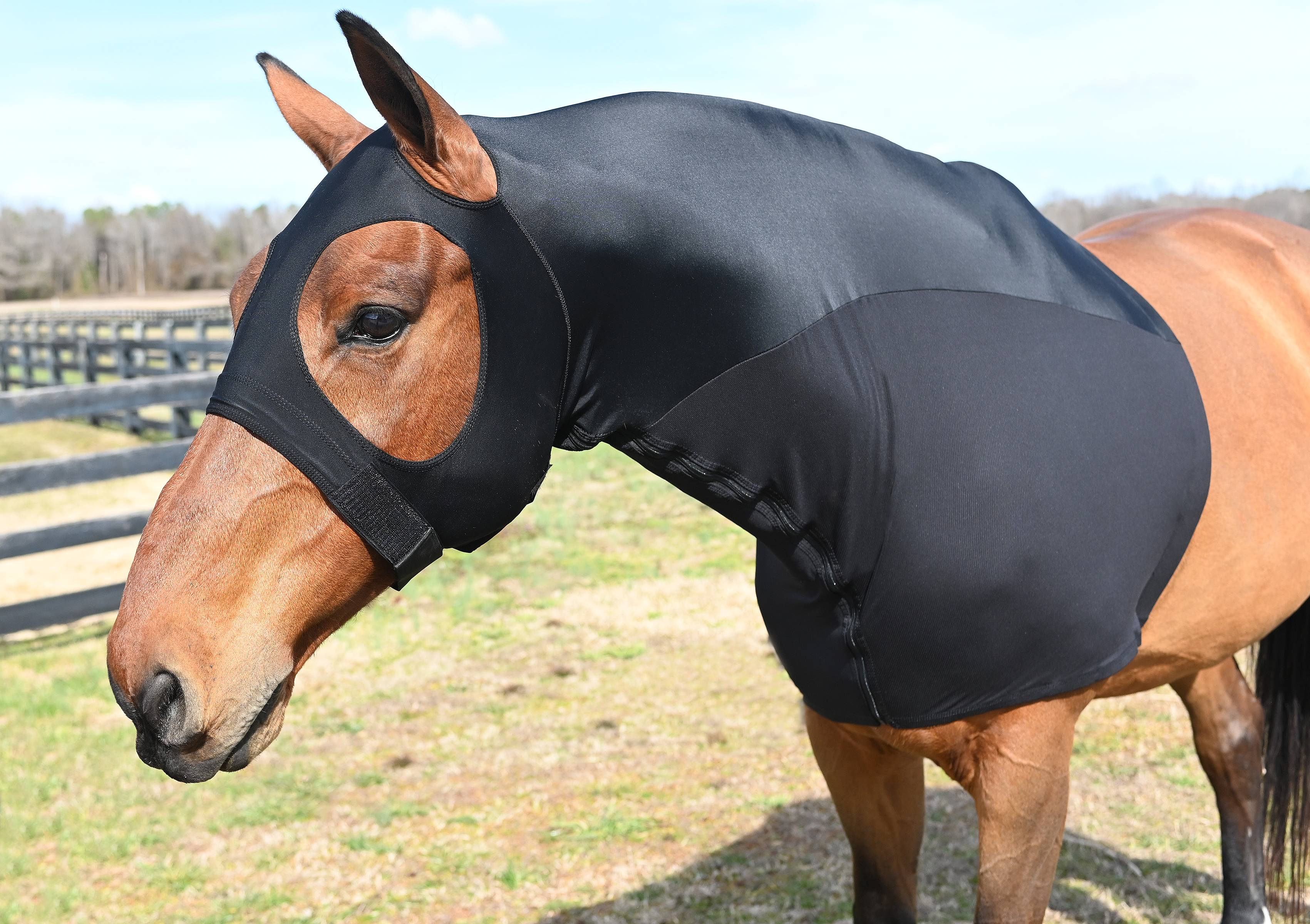 StretchX & Mesh Hybrid Full Separating Zipper Slicker Hood
