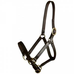 Gatsby Leather Adjustable Turnout Halter without Snap - Horse