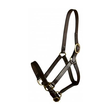 MEMORIAL DAY BOGO: Gatsby Leather Adjustable Turnout Halter without Snap - YOUR PRICE FOR 2