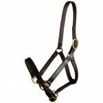 Gatsby Leather Adjustable Turnour Halter without Snap - Yearling