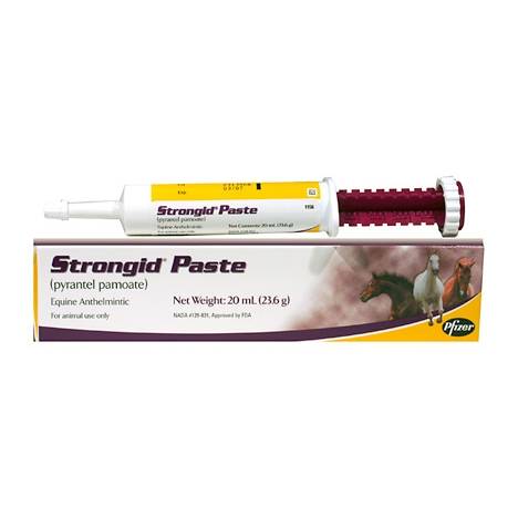 Strongid Strongyle Horse Wormer Paste - 20ml