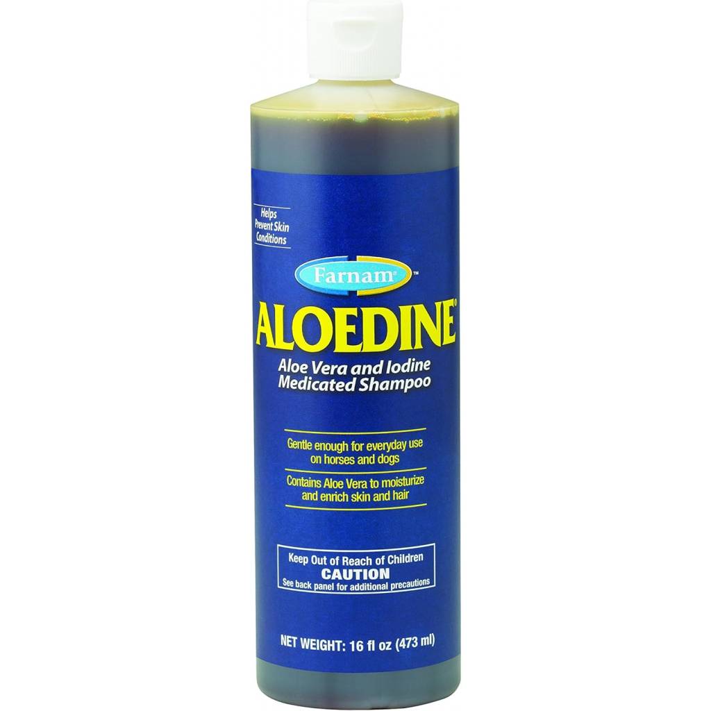 Farnam Aloedine Aloe Vera Shampoo