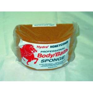 Honeycomb Body Sponge