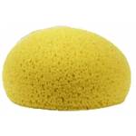 Hydra Sponge Cleaning & Care