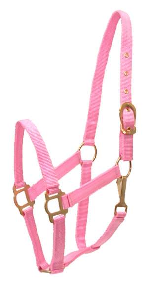 401085-PINK-COB Gatsby Classic Nylon Halter with Snap sku 401085-PINK-COB