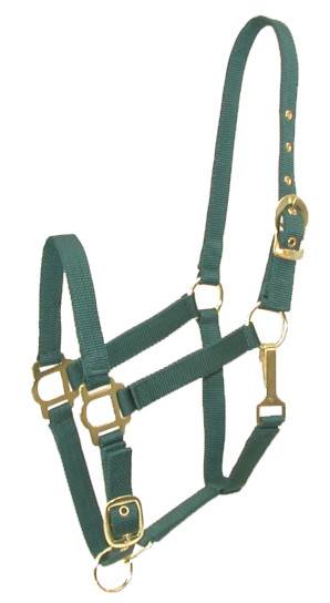 401086-HUNTER-HORSE Gatsby Adjustable Nylon Halter with Snap sku 401086-HUNTER-HORSE