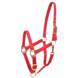 Gatsby Adjustable Nylon Halter with Snap - GET 60% OFF on any $109 order