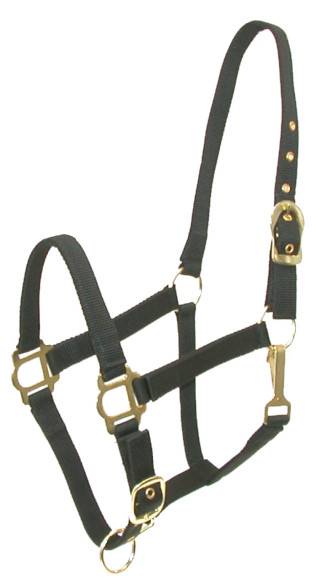 401086-BLACK-HORSE Gatsby Adjustable Nylon Halter with Snap sku 401086-BLACK-HORSE