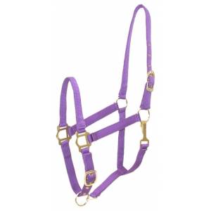 Gatsby Adjustable Nylon Halter with Snap - Purple - Horse