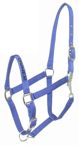 401093-ROYAL-HORSE Gatsby I LOVE MY OWNER Nylon Halter sku 401093-ROYAL-HORSE