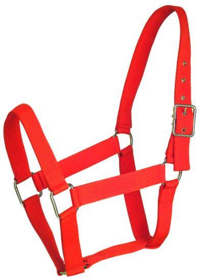 Gatsby Nylon Draft Halter