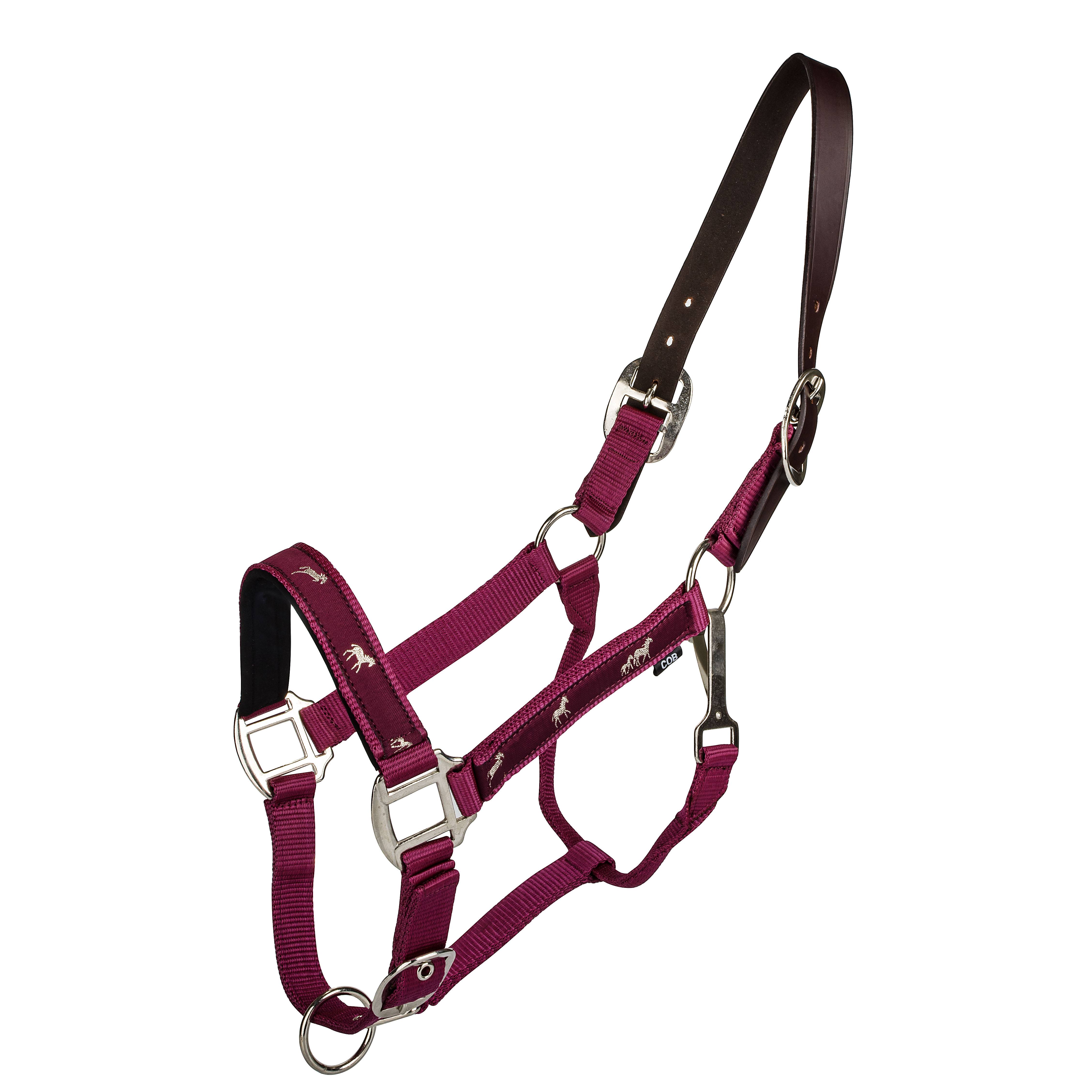 Breakaway Mini 5/8 Premium Nylon Adjustable Halter w/Overlay, No Snap