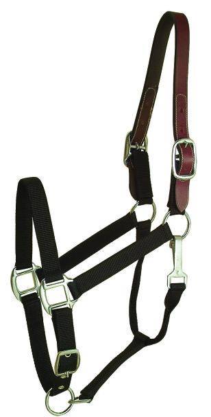 Gatsby Nylon Breakaway Halter with Snap - 12pc Assortment