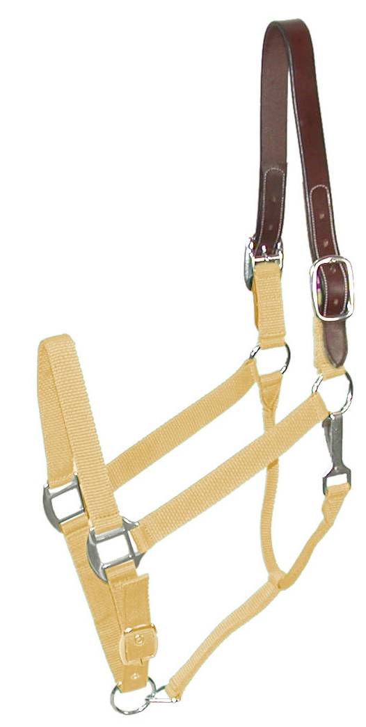 Gatsby Classic Nylon Breakaway Halter with Snap