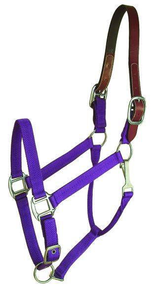 Gatsby Nylon Breakaway Halter with Snap - 12pc Assortment