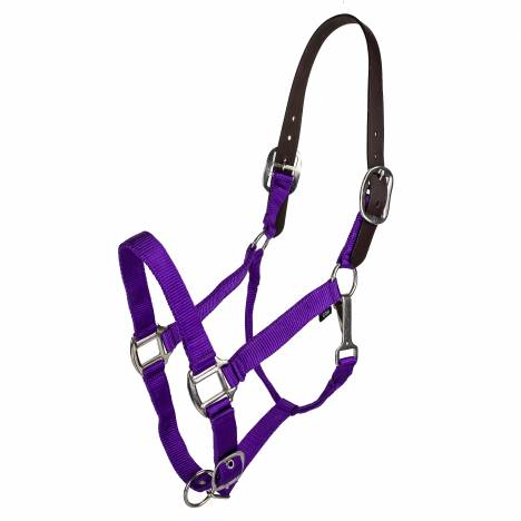 MEMORIAL DAY BOGO: Gatsby Classic Nylon Breakaway Halter with Snap - YOUR PRICE FOR 2