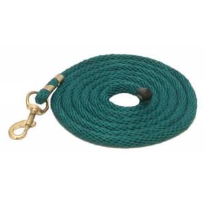 Gatsby Polypropylene Lead with Snap - Teal - 10'