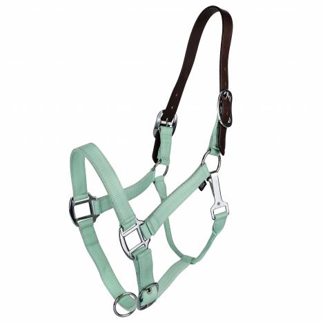 MEMORIAL DAY BOGO: Gatsby Classic Nylon Breakaway Halter with Snap - YOUR PRICE FOR 2