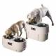 Adjustable Height Store n Feed for Dogs
