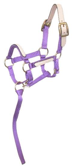 TuffRider Adjustable Nylon Breakaway Halter w/ Padded Crown and Rose G –