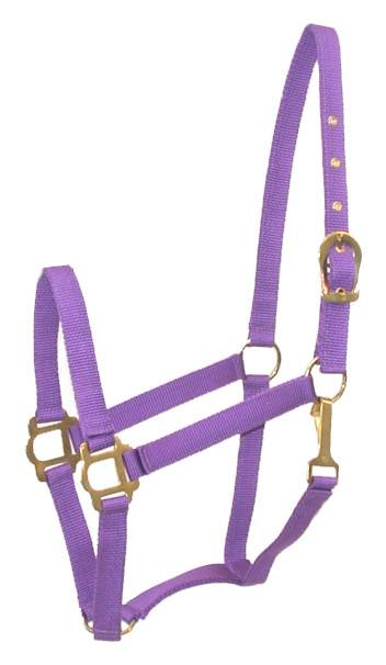 401085-PURPLE-PONY Gatsby Classic Nylon Halter with Snap sku 401085-PURPLE-PONY