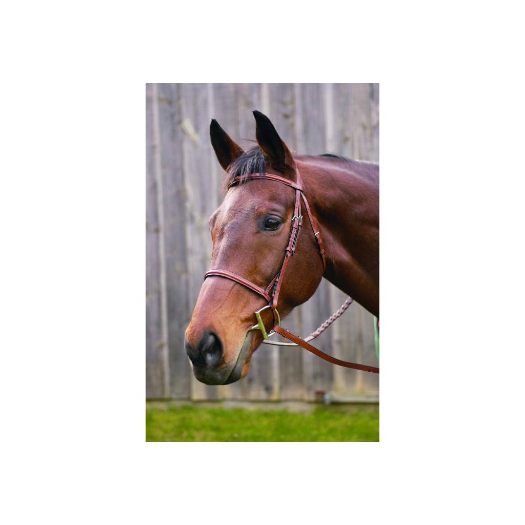 Henri de Rivel Advantage Plain Raised Snaffle Bridle With Laced Reins