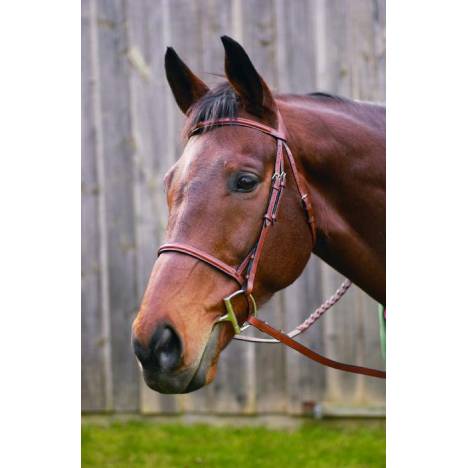 Henri de Rivel Advantage Plain Raised Snaffle Bridle With Laced Reins