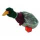 Migrators Mallard Duck Dog Squeak Toy Colorful
