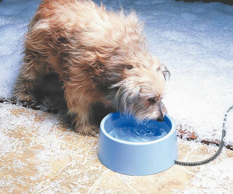 Plastic Heated Pet Bowl
